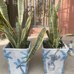 pots For Plants ! 