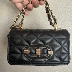 Aldo Mini Bag