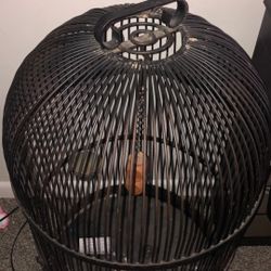 Bird Cage
