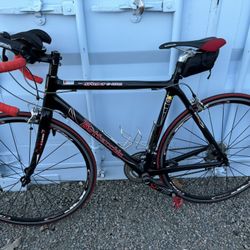 Custom Bottecchia Sprint CF66 Pro  Carbon Fiber Hand Built 