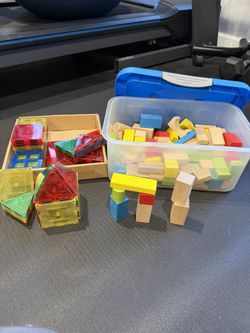 Magnetic Tiles + Wooden Blocks and Bin