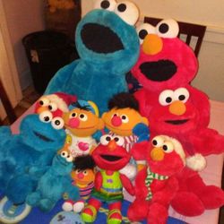 A collection of teddy clean no rips.