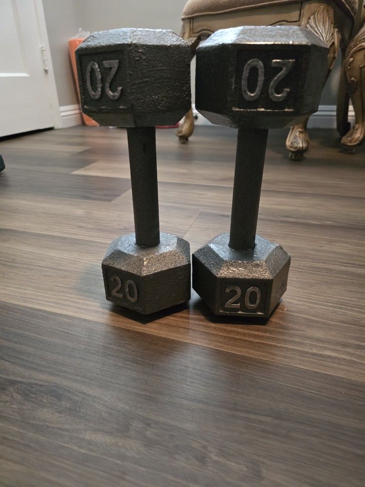 Pair Of 20 Lb Weights Dumbells