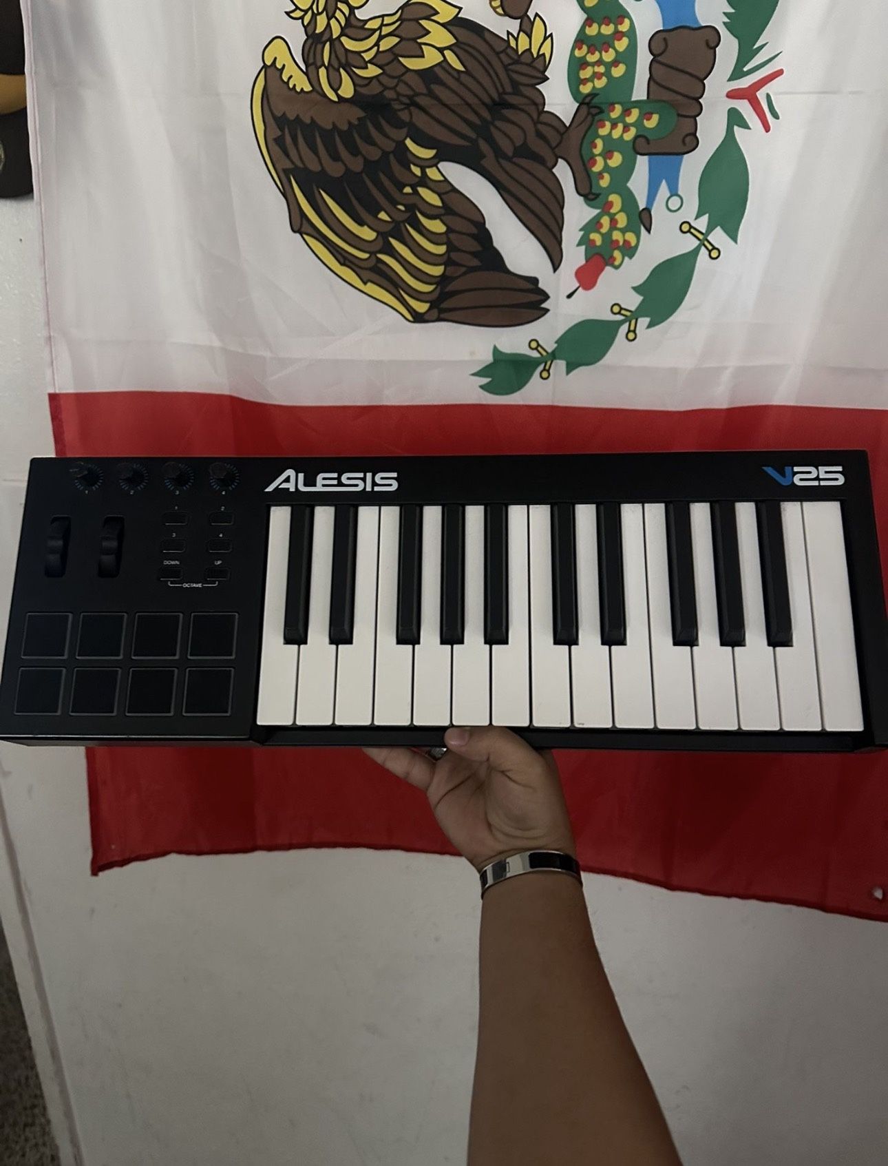 Alesis V25