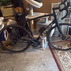 Trek Domane 2
