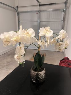 Natural Phalaenopsis with Decorative Vase artificial orchid arrangement.