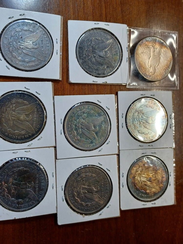 Silver Dollars
