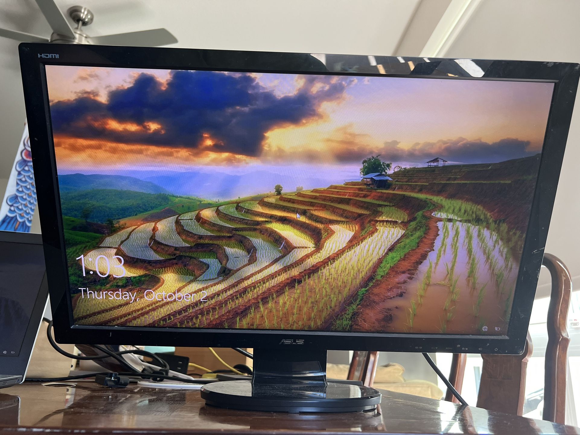 monitors