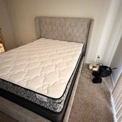 Queen Bed/Mattress/boxspring