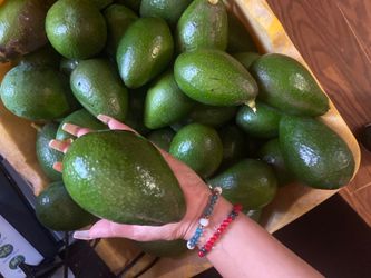 Avocados