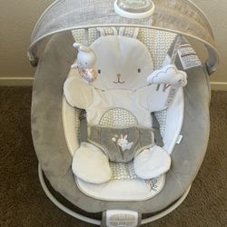 Baby Bouncer 