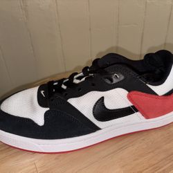 Nike SB University Red