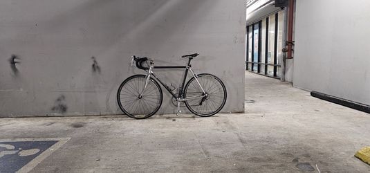 Road Bike Trek Carbon Fiber