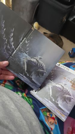 Monster hunter wilds  steel book