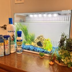 5 Gallon Fish tank 