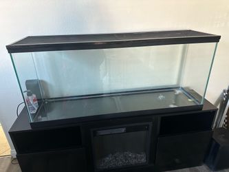 55 gallon aquarium with mesh topper