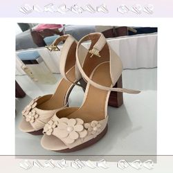 today stay Event Fashion Shine with Sophisticated and Modern Styles
