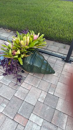 Plants and snail planter