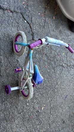 Frozen bike