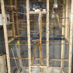 Bird Cage. 