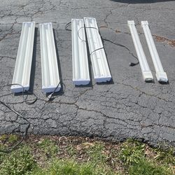Fluorescent Shop Lights