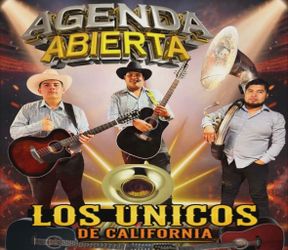 Grupo Sierreño con tuba 2 estilos  por el mismo precio acordeon guitarra y tuba y 2 guitarras y la tuba