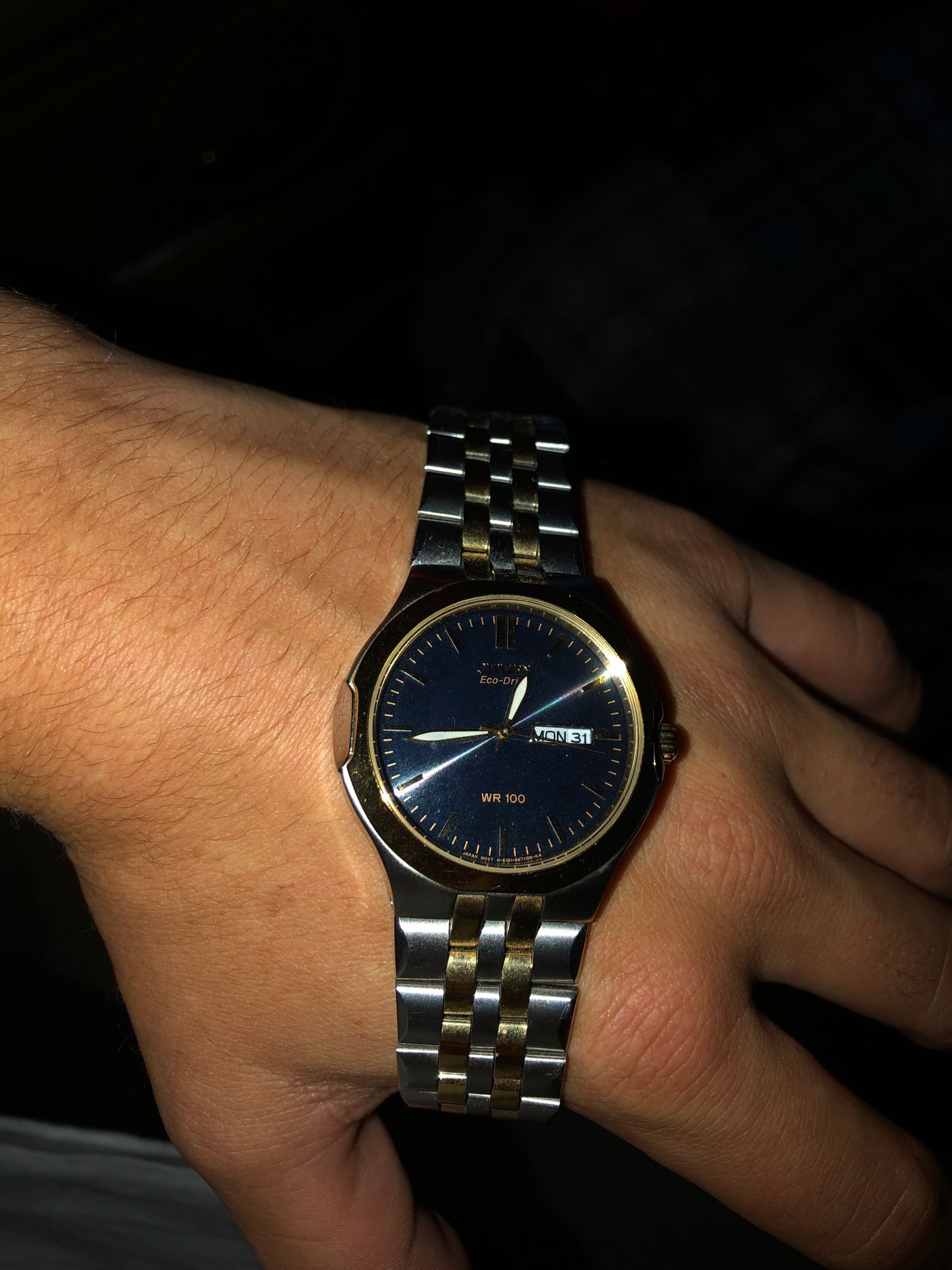 Citizen Eco-Drive WR100 wrist watch