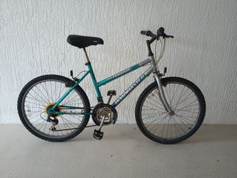 Roadmaster Mountain Bike