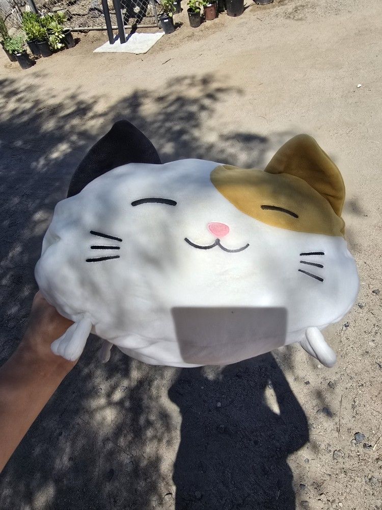 Cat Teddy Bear