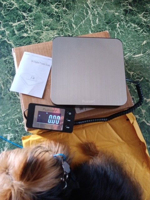 Postal Scale