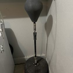 Punching bag / Speed bag