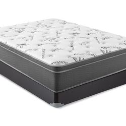 13 Inch Thick Queen Pillow Top Mattresses! 