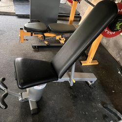 Vectra Dumbbell Adjustable Bench