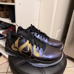 Size 10.5M/12W - Nike Kobe 5 Protro Year of the Mamba Eggplant IB4481-500 Pre-Ow