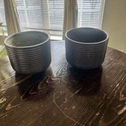 Pot and plant 🪴 $10.00  pot by itself $8.00