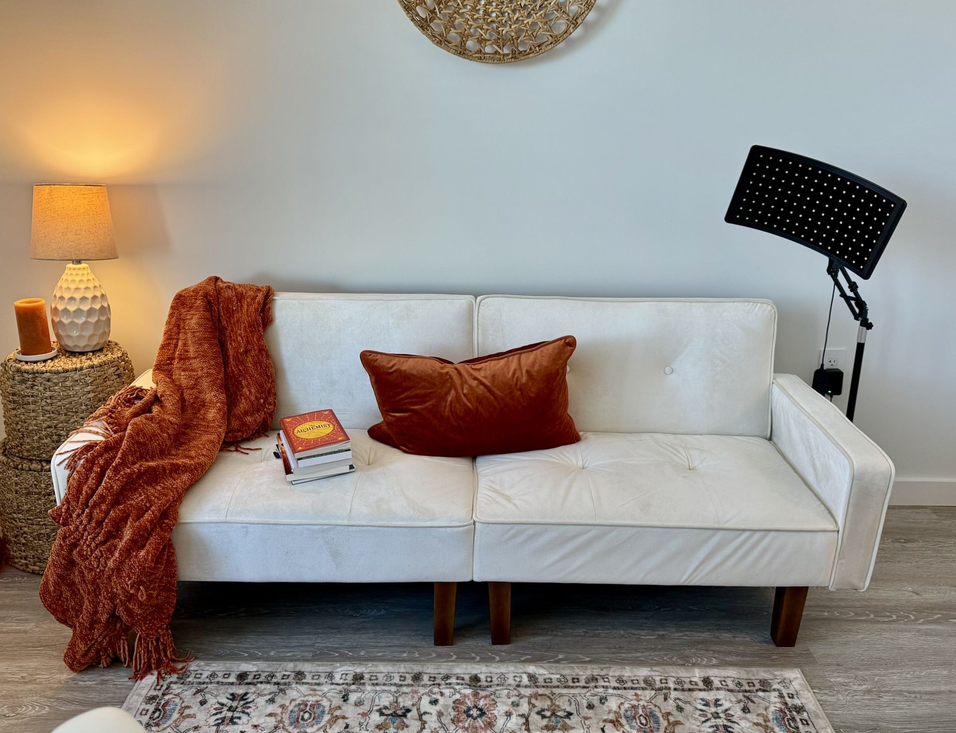 Velvet Convertible Sofa / Futon