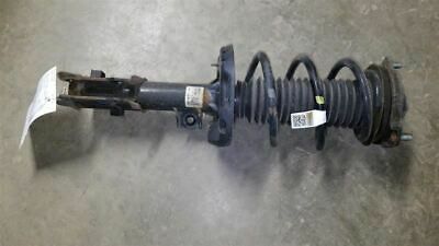 Elantra Strut Assembly 2017