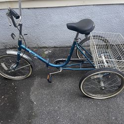 Vintage Tricycle 