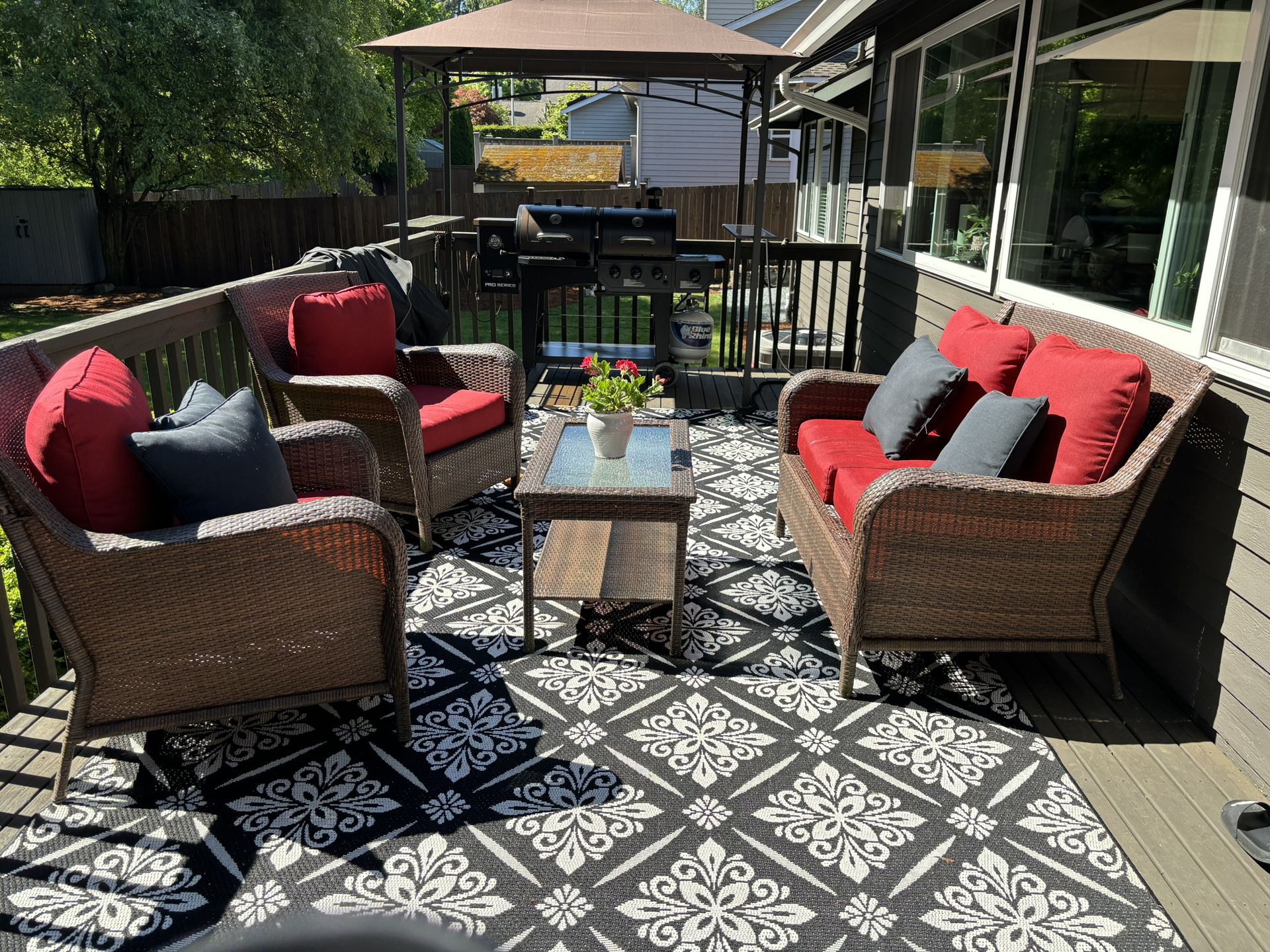 Outdoor Patio Carpets (two From Costco)