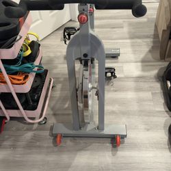 Sunny Indoor Cycling Exercise Bike