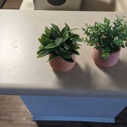 Two Small Fake Cactus