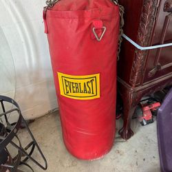 🥊 Everlast Heavy Punching Bag – Large – $75