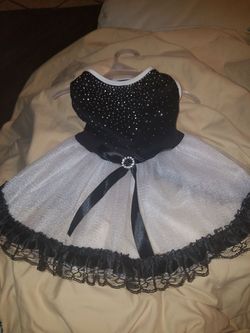 Black and white (Med) puppy dress, with a little bling!