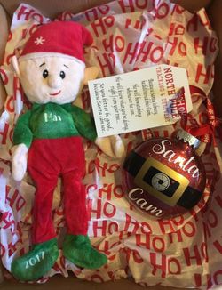Personalized Elf and Santa Cam Ornament