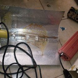 Two MJ 600 watt  light and ballasts