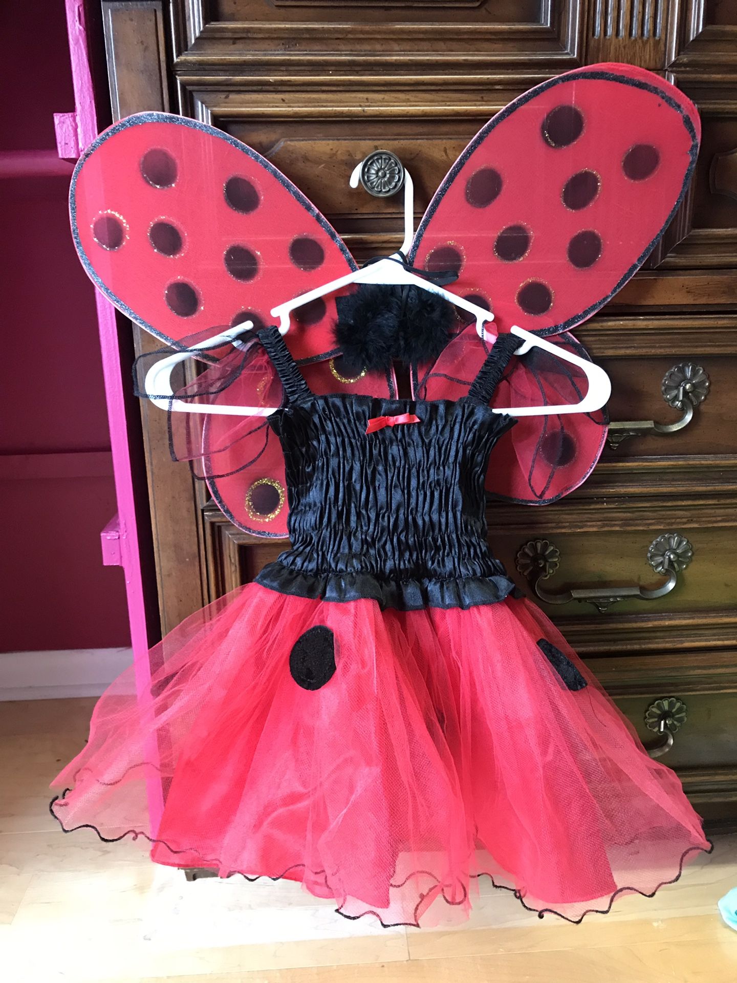 Halloween Ladybug 2/3T girls costume. Great condition. Nothing wrong with it wore once.w