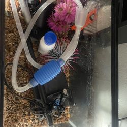 Fish Tank N Supplies