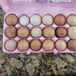 Free-range Chicken Eggs.