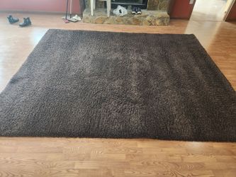 Crate and Barrel Rug