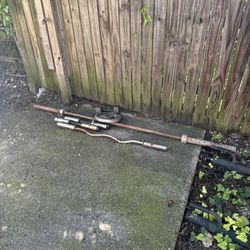 Curl Bars